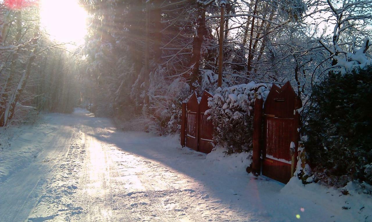 Holzhaus Trollbluemchen Am Wald Und See Neuruppin Zewnętrze zdjęcie